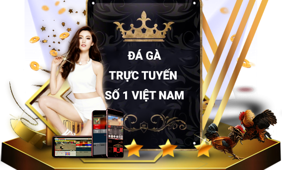 đá gà trực tiếp