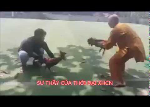 sư thầy chơi đa gà