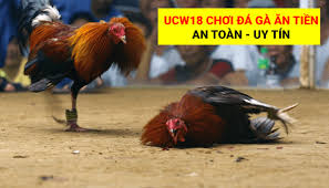 ucw18