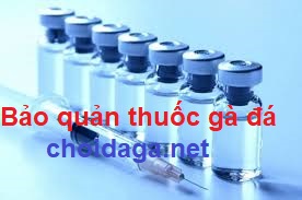 bảo quản thuốc gà đá