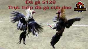 đá gà s128