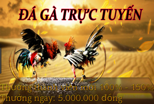 khuyến mãi đá gà trực tuyến