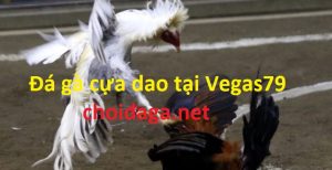 da ga cua dao