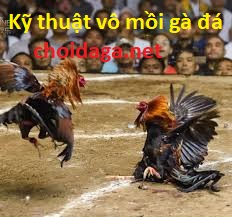 kỹ thuật vô mồi gà đá