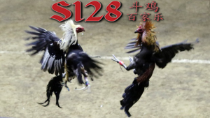 S128