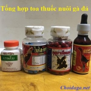 Toa  thuốc nuôi gà 