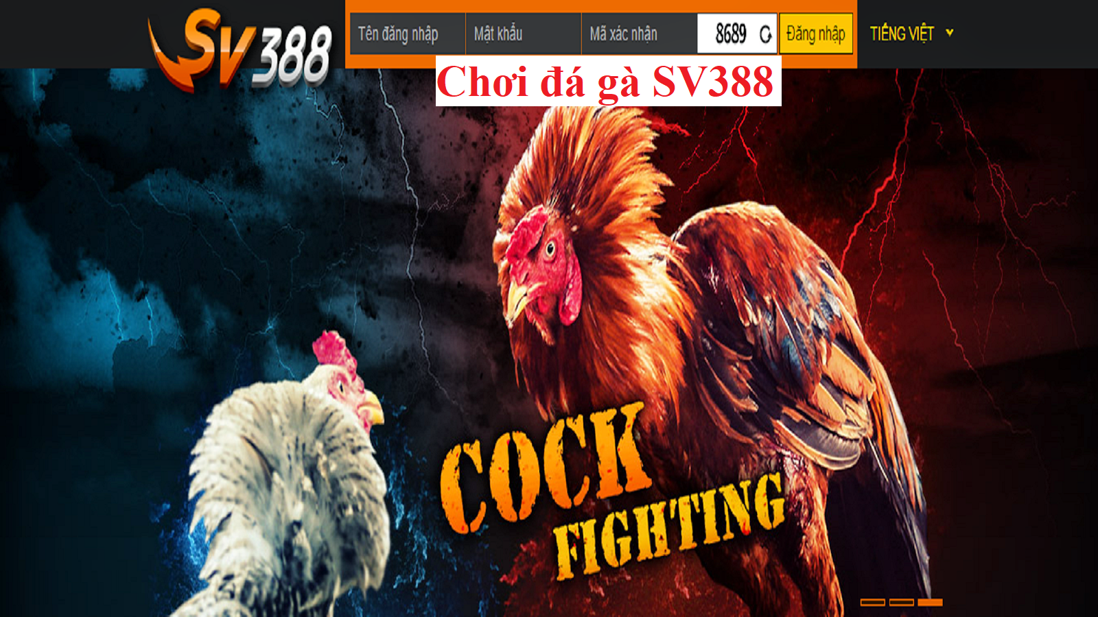 Chơi đá gà SV388