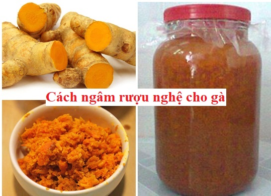 Cách ngâm rượu nghệ