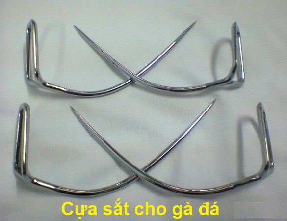 Các loại cựa sắt