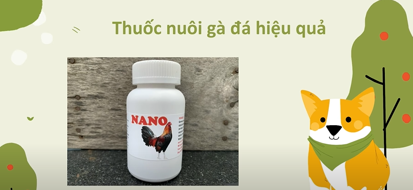 Thuốc nuôi gà đá bo