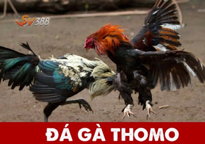 da ga thomo la gi