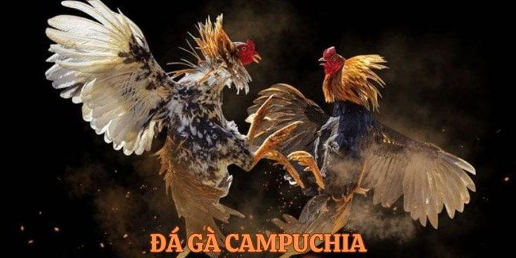 daga campuchia