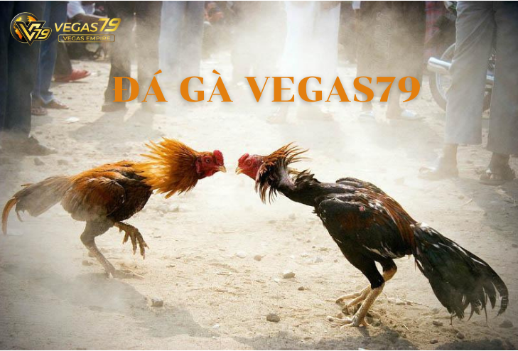 Da Ga Vegas79