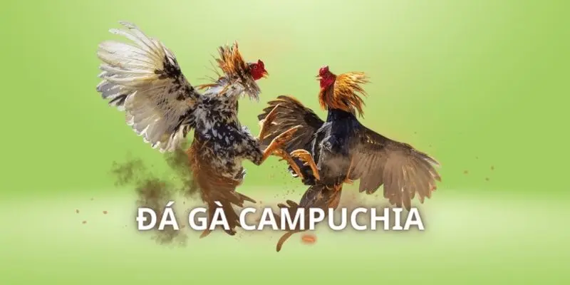 da ga campuchia