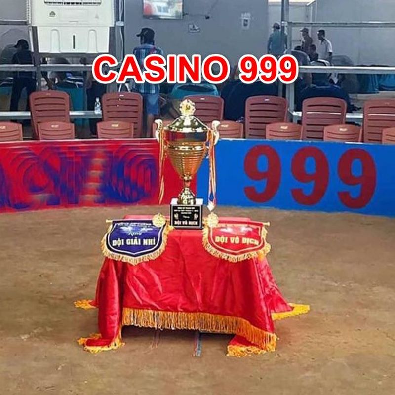 Đá gà casino999