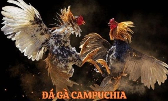 da ga campuchia