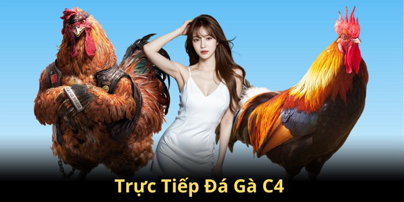 Top Thủ Thuật Đá Gà