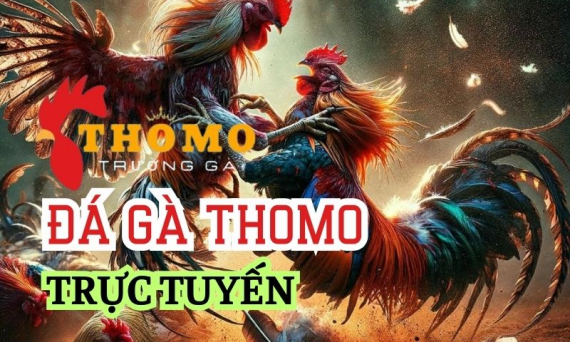 dagathomo88