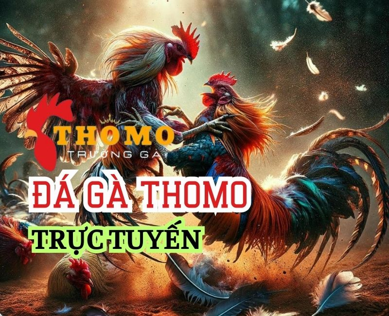 Cách xem trực tiếp đá gà