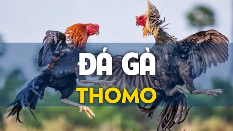 dagatructiep thomo