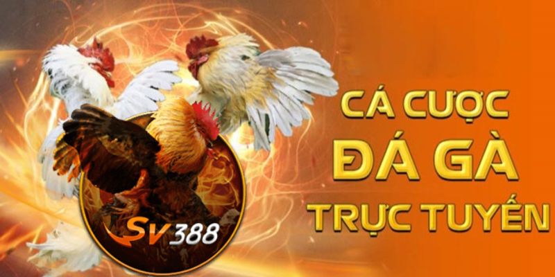 Live Đá Gà SV388