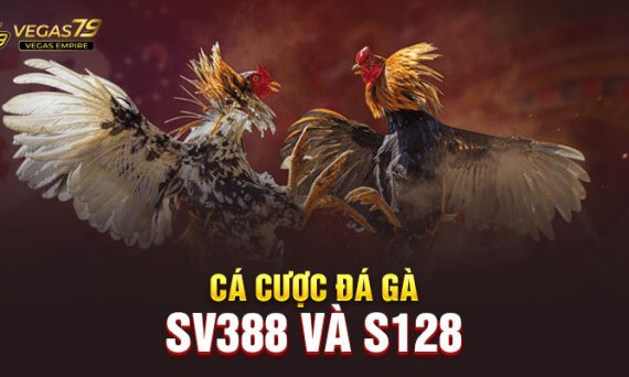 ca cuoc da ga vegas79