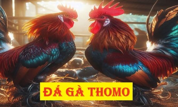 Da ga thomo 1